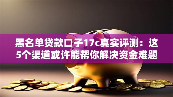 黑名单贷款口子17c真实评测：这5个渠道或许能帮你解决资金难题