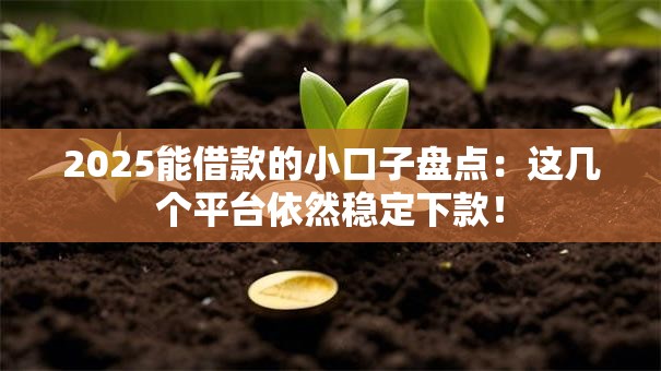2025能借款的小口子盘点：这几个平台依然稳定下款！