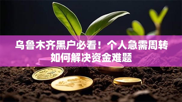 乌鲁木齐黑户必看!个人急需周转如何解决资金难题 乌鲁木齐黑户必看!个人急需周转如何解决资金难题