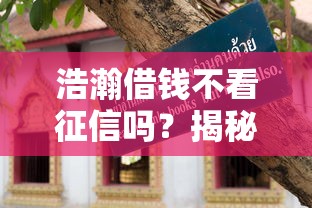 浩瀚借钱不看征信吗？揭秘真实审核条件与避坑指南