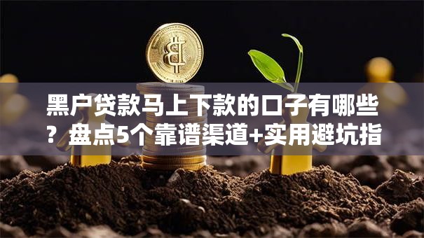 黑户贷款马上下款的口子有哪些？盘点5个靠谱渠道+实用避坑指南