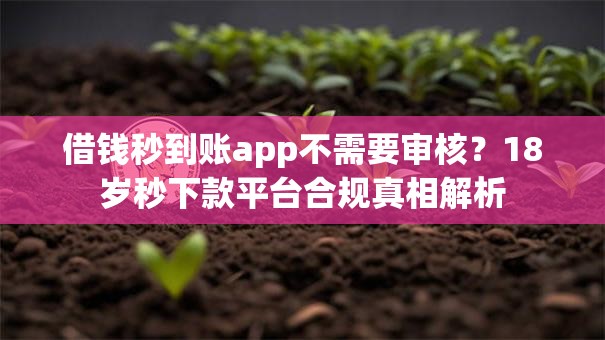 借钱秒到账app不需要审核?18岁秒下款平台合规真相解析 借钱秒到账app不需要审核?18岁秒下款平台合规真相解析