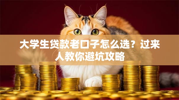 大学生贷款老口子怎么选？过来人教你避坑攻略