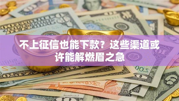 不上征信也能下款？这些渠道或许能解燃眉之急
