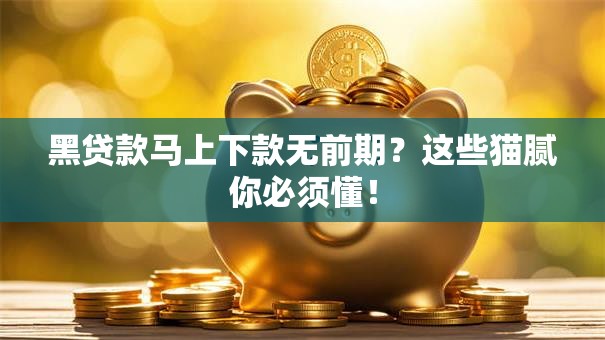 黑贷款马上下款无前期？这些猫腻你必须懂！