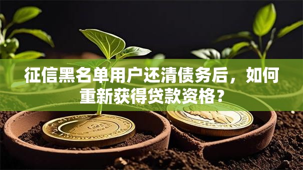 征信黑名单用户还清债务后,如何重新获得贷款资格? 征信黑名单用户还清债务后,如何重新获得贷款资格?
