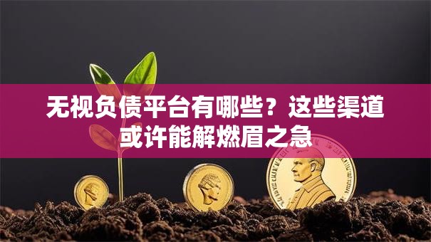 无视负债平台有哪些？这些渠道或许能解燃眉之急