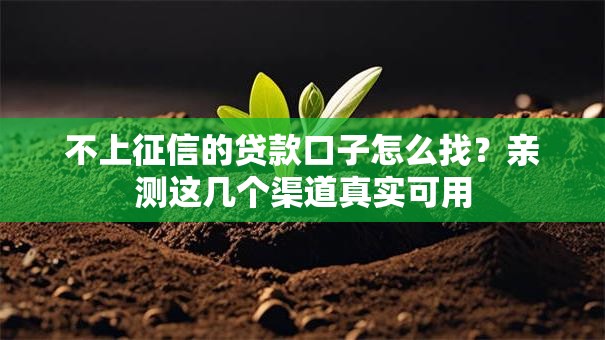 不上征信的贷款口子怎么找？亲测这几个渠道真实可用