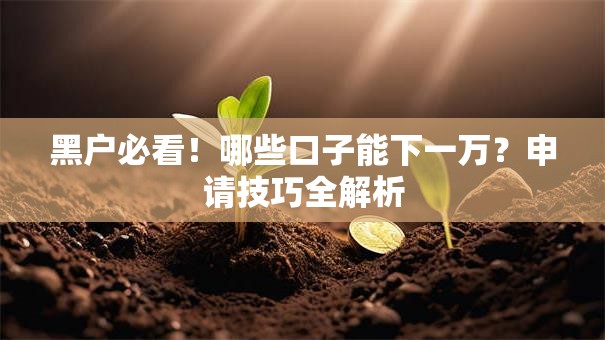 黑户必看！哪些口子能下一万？申请技巧全解析
