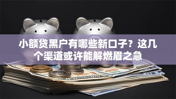 小额贷黑户有哪些新口子？这几个渠道或许能解燃眉之急