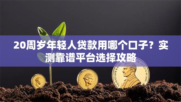 20周岁年轻人贷款用哪个口子？实测靠谱平台选择攻略