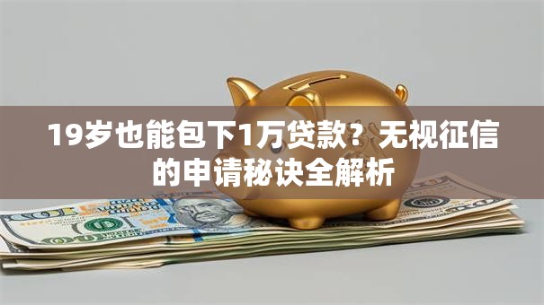19岁也能包下1万贷款？无视征信的申请秘诀全解析