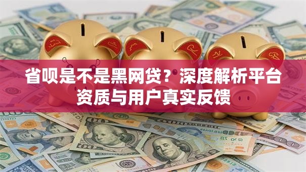 省呗是不是黑网贷？深度解析平台资质与用户真实反馈