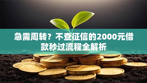 急需周转？不查征信的2000元借款秒过流程全解析
