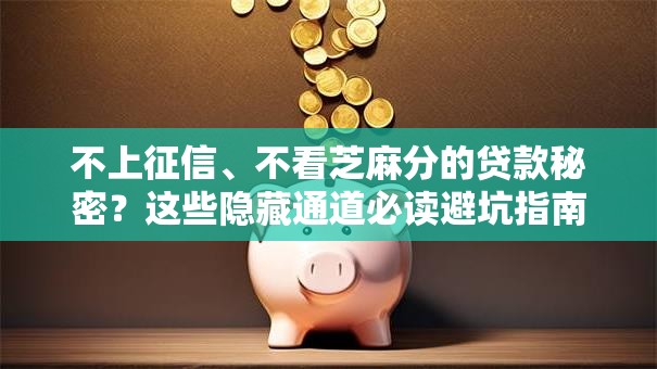 不上征信、不看芝麻分的贷款秘密？这些隐藏通道必读避坑指南