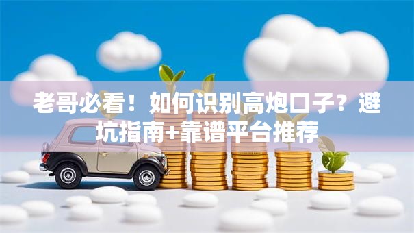 老哥必看！如何识别高炮口子？避坑指南+靠谱平台推荐