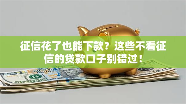 征信花了也能下款？这些不看征信的贷款口子别错过！
