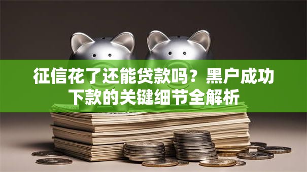 征信花了还能贷款吗？黑户成功下款的关键细节全解析