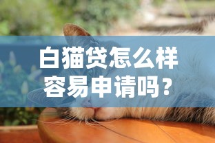 白猫贷怎么样容易申请吗?申请条件+流程全解析 白猫贷怎么样容易申请吗?申请条件+流程全解析