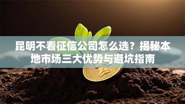 昆明不看征信公司怎么选？揭秘本地市场三大优势与避坑指南