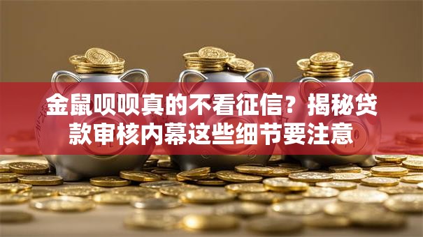 金鼠呗呗真的不看征信？揭秘贷款审核内幕这些细节要注意