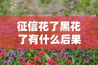 征信花了黑花了有什么后果？这些影响你一定要知道