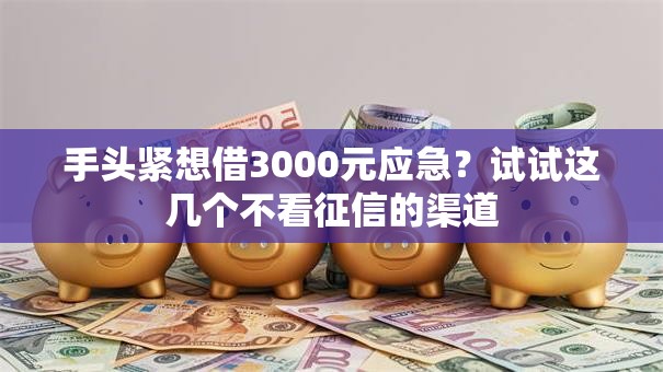 手头紧想借3000元应急？试试这几个不看征信的渠道