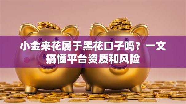 小金来花属于黑花口子吗？一文搞懂平台资质和风险