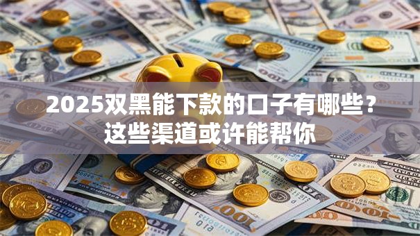 2025双黑能下款的口子有哪些？这些渠道或许能帮你