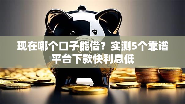 现在哪个口子能借？实测5个靠谱平台下款快利息低
