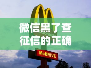 微信黑了查征信的正确方法 手把手教你避开风险