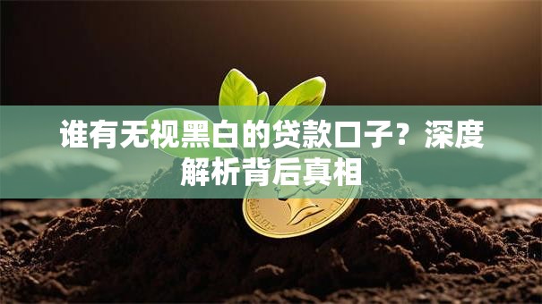 谁有无视黑白的贷款口子？深度解析背后真相