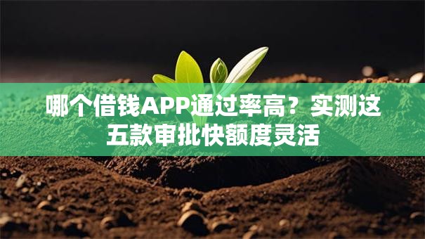 哪个借钱APP通过率高？实测这五款审批快额度灵活