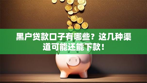 黑户贷款口子有哪些？这几种渠道可能还能下款！