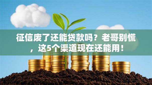 征信废了还能贷款吗？老哥别慌，这5个渠道现在还能用！