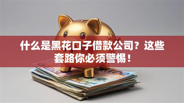 什么是黑花口子借款公司？这些套路你必须警惕！