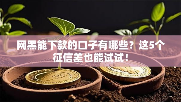 网黑能下款的口子有哪些？这5个征信差也能试试！