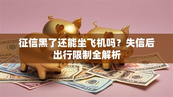 征信黑了还能坐飞机吗？失信后出行限制全解析