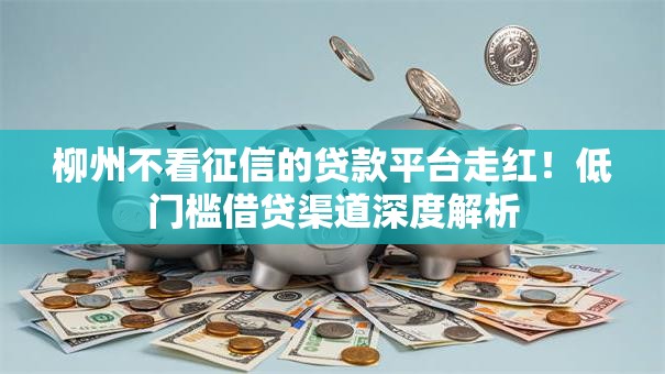 柳州不看征信的贷款平台走红！低门槛借贷渠道深度解析