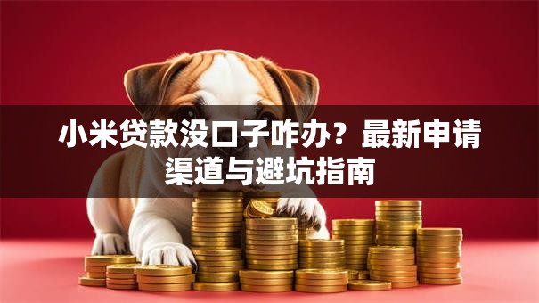 小米贷款没口子咋办？最新申请渠道与避坑指南