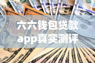 六六钱包贷款app真实测评：资质要求、利率对比及使用技巧