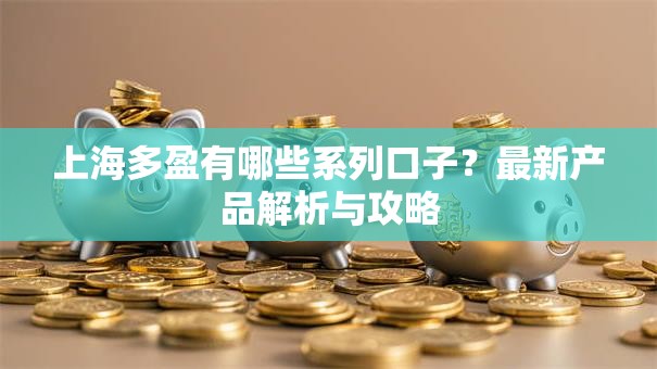 上海多盈有哪些系列口子?最新产品解析与攻略 上海多盈有哪些系列口子?最新产品解析与攻略