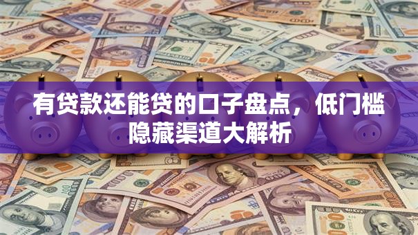 有贷款还能贷的口子盘点，低门槛隐藏渠道大解析