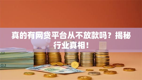 真的有网贷平台从不放款吗？揭秘行业真相！