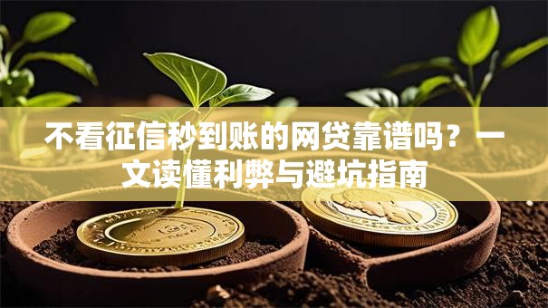 不看征信秒到账的网贷靠谱吗？一文读懂利弊与避坑指南