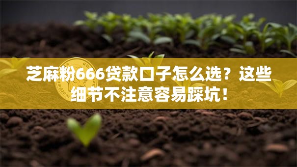 芝麻粉666贷款口子怎么选？这些细节不注意容易踩坑！