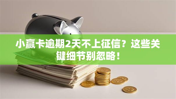 小赢卡逾期2天不上征信？这些关键细节别忽略！