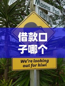 借款口子哪个不上征信？这几种方式真的靠谱吗