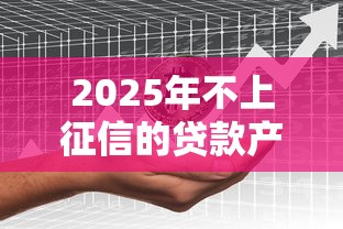 2025年不上征信的贷款产品市场新动向深度解析