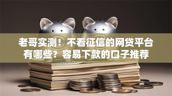 老哥实测！不看征信的网贷平台有哪些？容易下款的口子推荐